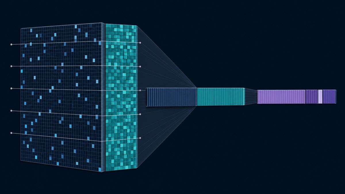 JAE joint embedding — one cell, two measurements, 61 numbers